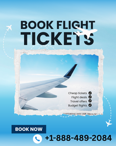 Expedia Dispute Process for Wrong Charges 【Step-by-Step】