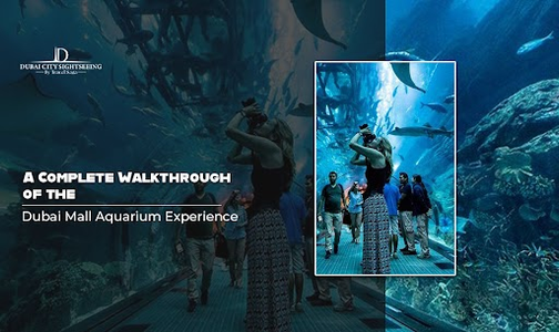 A Complete Walkthrough of the Dubai Mall Aquarium Experience