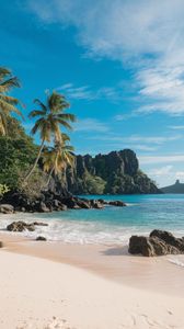Cathay Pacific No Name Policy: What Are the Official Rules for Single-Name Travelers?