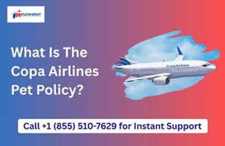 🐾 Copa Airlines Pet Fees: A Simple Guide for 2026