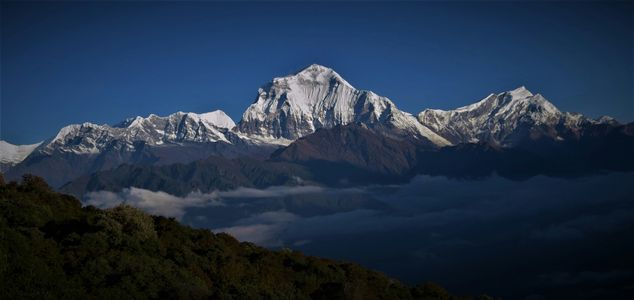 Top Himalayan Treks in Nepal Compared: Langtang Kyanjin Gompa vs Mardi Himal vs Ghorepani Poon Hill