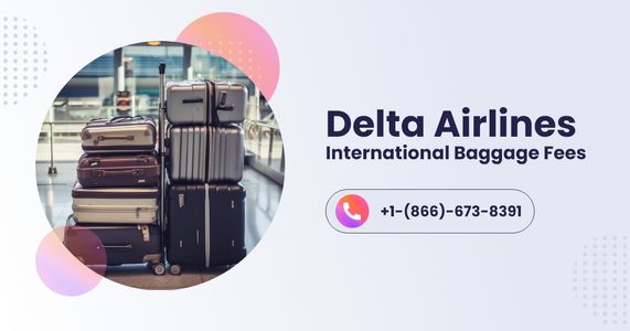 What Are Delta Airlines International Baggage Fees in 2026?