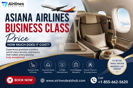 Asiana Airlines Business Class Price How Much Does It Cost?