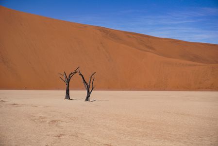 The Ultimate Guide to Places to Visit and Things to Do in South and Central Namibia