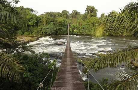 Top 10 Must-See Attractions in Cameroon: Your Ultimate Travel Guide