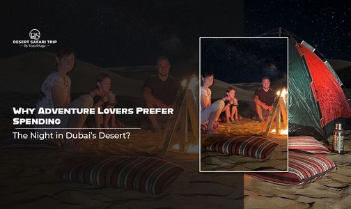 Why Adventure Lovers Prefer Spending the Night in Dubai’s Desert?