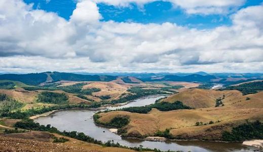 How much freedom to explore forests of Gabon?