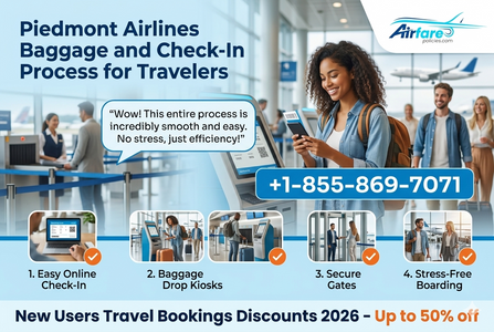 Piedmont Airlines Baggage and Check-In Process for Travelers