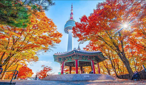 Discovering South Korea – A Perfect Blend of Tradition and Modern Life
