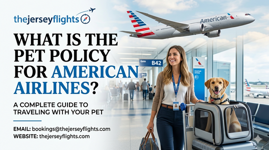American Airlines Pet Policy Explained: Cabin Pets, Fees & Restrictions for 2026