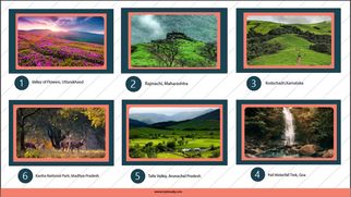 Top 6 Dazzling Forest Trails in India