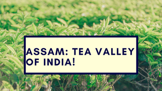 Assam: The Tea Valley