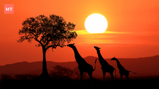 No visa required for Kenya starting January