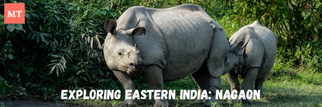 Exploring Eastern India: Nagaon