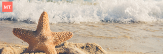 7 beaches in India for Summer