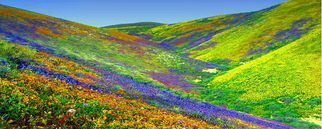 Valley of Flowers Trek: Best Time and Things to do