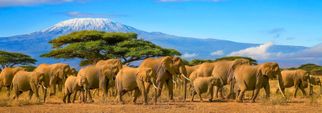 Top 10 places to visit in Tanzania for couples