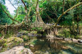 8 Reasons Why There&#039;s No Place Like the Meghalaya in the Monsoon