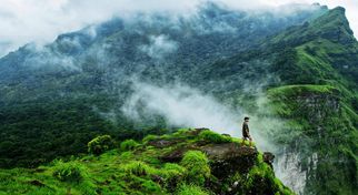 Bangalore to Coorg: The Perfect Weekend Getaway