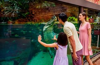 Exploring the Wonders of Singapore: A Comprehensive Guide