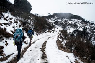 Top 9 Himalayan Treks That Will Leave You Breathless