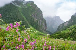 A Journey to the Valley of Flowers, Uttarakhand