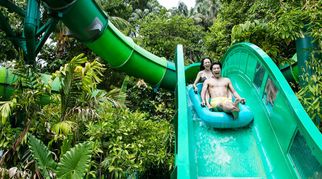 Adventure Cove Waterpark: Splashing Fun for Everyone