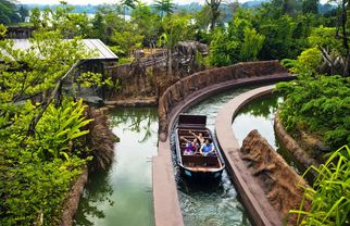 Discover Aquatic Wonders at the River Safari Singapore