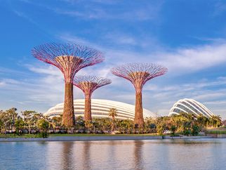 Gardens by the Bay: A Nature Lover’s Paradise in the Heart of Singapore