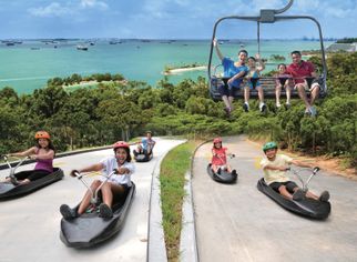 Family Fun at Sentosa: The Thrill of the Skyline Luge