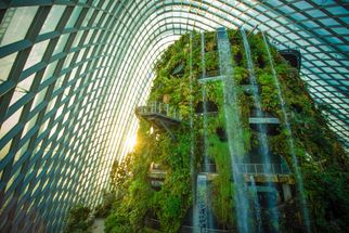 A Walk in the Clouds: Visiting the Cloud Forest at Gardens by the Bay