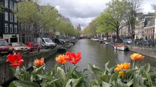 6 Must Visit Places on Your Honeymoon in Amsterdam