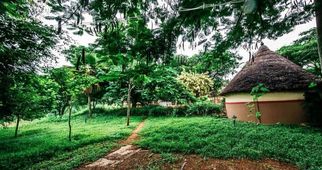 6 Best Resorts In Bangalore For Perfect Weekend