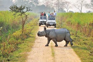 Exploring Kaziranga National Park: A UNESCO World Heritage Site