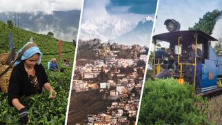 Should You Visit Darjeeling in December? Things You Should Know