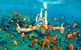 Best Scuba Diving Adventure in Goa: Everything You Need to Know!