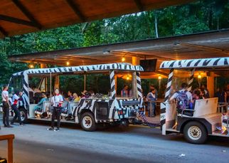 Singapore Night Safari: A Nocturnal Adventure Like No Other