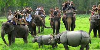 Top Things to Do on Your Kaziranga Tour in 2024