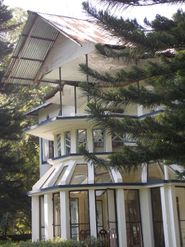 Explore Silver Ridge Resort Lataguri: A Hidden Gem in India