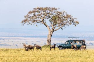 10 Must-Visit Places in Kenya for Every Traveler