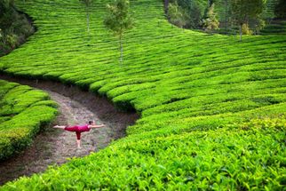 Explore Munnar: Exclusive Tour Packages from Bangalore