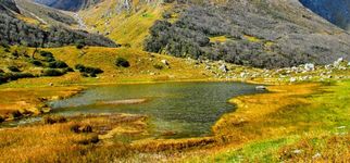 Kashmir Great Lakes Trek: An Exquisite Journey Through Nature’s Best