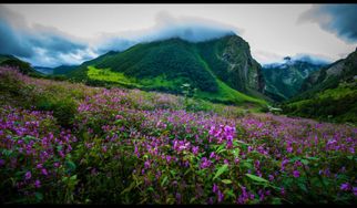 Valley of Flowers Trek with Hemkund Sahib: A Journey into Nature and Spirituality