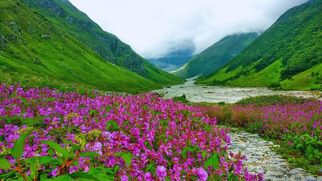 Chardham Yatra Group Tour: A Journey of Faith and Togetherness