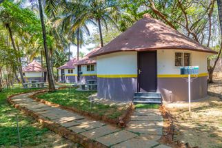 Exploring Jain Farms: A Serene Escape Near Bangalore
