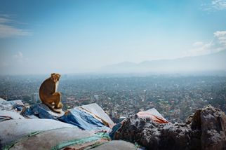 Magical Night Hikes: Full Moon Trekking in Nepal