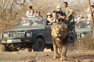 Top 10 Things to Do in Gir with Family