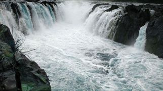 Hogenakkal Falls from Bangalore: A Guide to Nature’s Enchanting Retreat