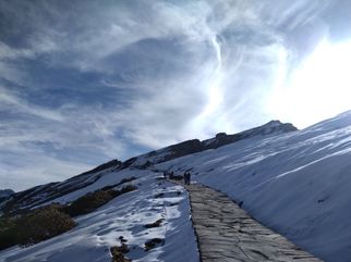 Chopta Chandrashila Trek: A Himalayan Adventure Like No Other