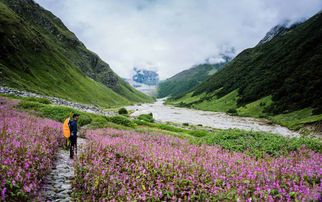 Valley of Flowers Trek with Hemkund Sahib: A Journey Through Nature&#039;s Wonderland